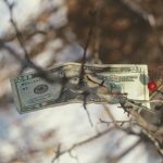 Crowdfunding